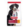 Hill’s Science Plan Large Breed Adult Dog Food With Chicken1