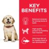 Hill’s Science Plan Large Breed Puppy Food With Chicken2