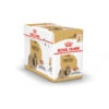 Royal Canin Breed Health Nutrition Shih Tzu Pouch2